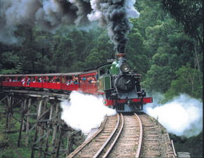 Puffing Billy - Tourism Caloundra 1