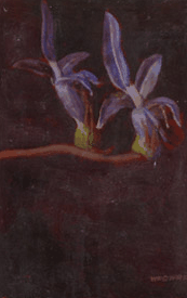 Red Hill Galleries - thumb 2