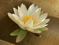 St Georges Natural Health Therapies - Tourism Caloundra 3