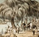 Joshua McClelland Print Room - Tourism Caloundra