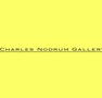 Charles Nodrum Gallery - Tourism Caloundra