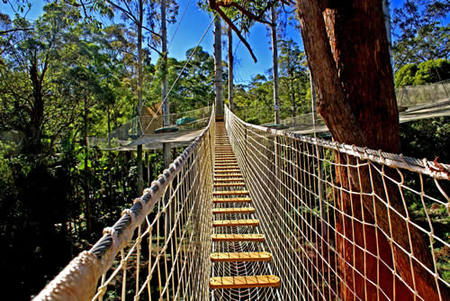 Mount Tamborine QLD Tourism Caloundra