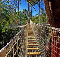 Thunderbird Park - Tourism Caloundra