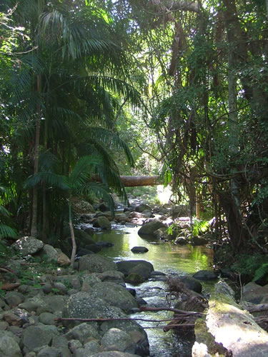 Thunderbird Park - Tourism Caloundra 2
