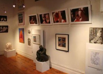 Bird's Gallery - Tourism Caloundra 2