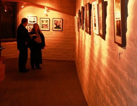 Eltham Library Community Gallery - Tourism Caloundra 1
