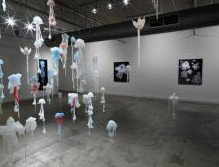 Nellie Castan Gallery - Tourism Caloundra 0