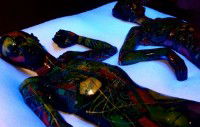 Yarra Sculpture Gallery - Tourism Caloundra 2