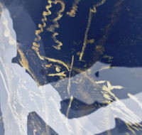 Warburton Lane Exhibits - Tourism Caloundra