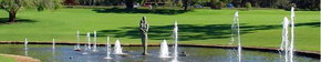 Kings Park Botanic Gardens - Tourism Caloundra 3