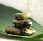 The Nature of Balance - Tourism Caloundra