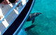 Pelican Charters - thumb 0