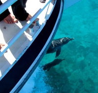 Pelican Charters - Tourism Caloundra