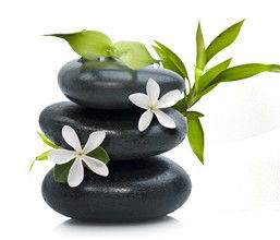 Tea House Spa Sauna - Tourism Caloundra 0