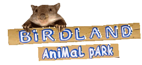 Birdland Animal Park - Tourism Caloundra
