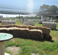 We Are Paintball - Tourism Caloundra