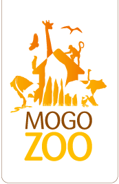 Mogo Zoo - Tourism Caloundra