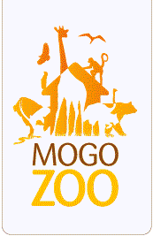 Mogo Zoo - Tourism Caloundra 0