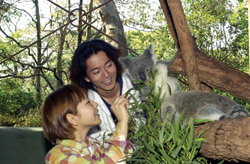 Taronga Zoo - Tourism Caloundra 2