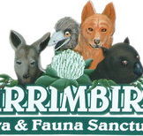 Wirrimbirra Sanctuary - Tourism Caloundra