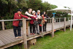 Phillip Island Penguin Parade - Tourism Caloundra 1