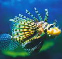 Underwater World - Tourism Caloundra