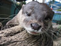 Underwater World - Tourism Caloundra 1