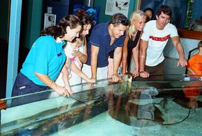 Underwater World - Tourism Caloundra 3