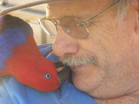 Peel Zoo - Tourism Caloundra 3