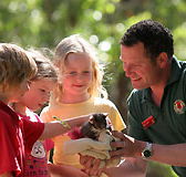 Cleland Wildlife Park - Tourism Caloundra
