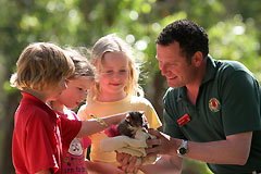 Cleland Wildlife Park - Tourism Caloundra 0