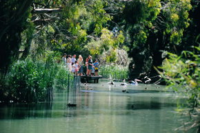 Cleland Wildlife Park - Tourism Caloundra 1