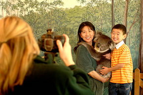 Cleland Wildlife Park - Tourism Caloundra 2