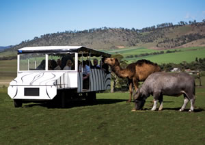 Zoo Doo Wildlife Park - Tourism Caloundra 2