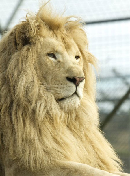 Zoo Doo Wildlife Park - Tourism Caloundra 3