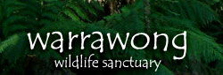 Inglewood SA Tourism Caloundra