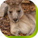 Calmsley Hill City Farm - Tourism Caloundra 0