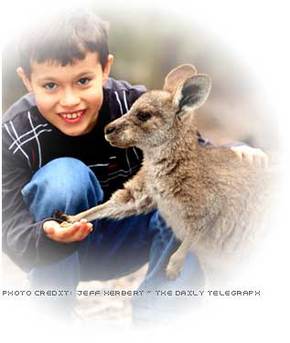 Australia Walkabout Wildlife Park - Tourism Caloundra 1