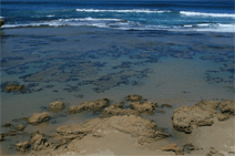 Canberra Contemporary Art Space - Tourism Caloundra