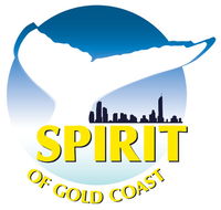 Spirit of Gold Coast Whale Watching - Tourism Caloundra