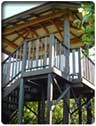 Cabbage Tree Island NSW Tourism Caloundra