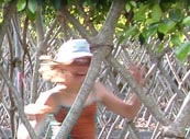 Amaze 'n' Place - Tourism Caloundra 2