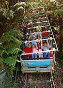 Scenic World Blue Mountains - Tourism Caloundra 2