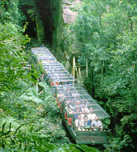 Scenic World Blue Mountains - Tourism Caloundra 3