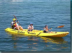 Manly Kayaks - Tourism Caloundra 3