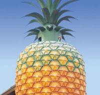 The Big Pineapple - Tourism Caloundra