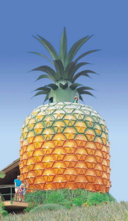 The Big Pineapple - Tourism Caloundra 0