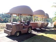 The Big Pineapple - Tourism Caloundra 2