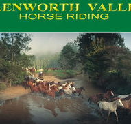 Glenworth Valley Horseriding - Tourism Caloundra