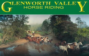 Glenworth Valley Horseriding - Tourism Caloundra 0